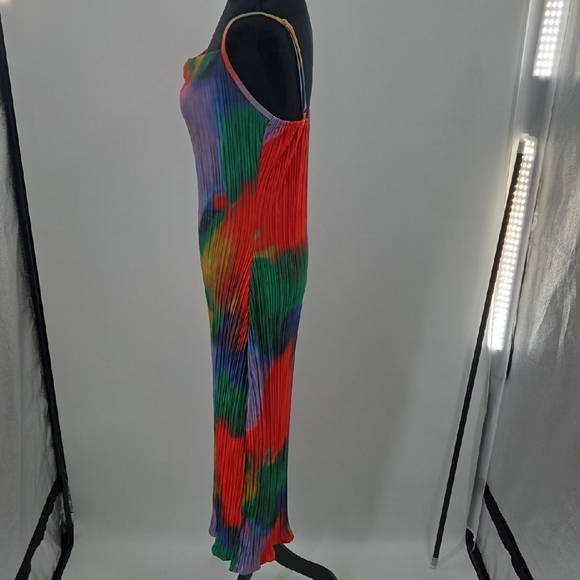 Colorful Pleated Maxi Dress - Picture 14 of 16